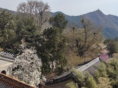 -潭柘寺景区