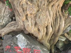 -孤山寨风景区