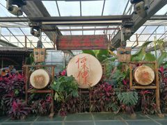 -呀路古热带植物园