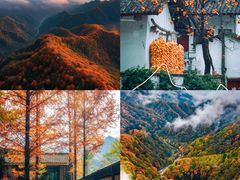 -秦岭风景区