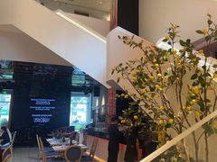 -Mezomd曼索蒂西班牙餐厅(广粤店)