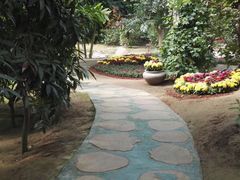 -南通洲际绿博园