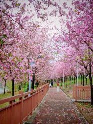 -梓爱月子中心(花都店)