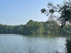 -大湾区中央湿地公园