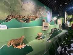 -浙江自然博物院(杭州馆)