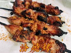-艾力江和田馕坑烤肉店