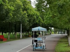 -艾溪湖湿地公园