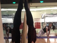 -宝力豪健身(中粮广场店)