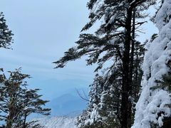 -瓦屋山景区