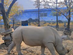 -西安秦岭野生动物园