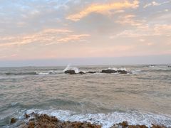 -海合安青岛极地海洋公园