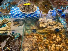 -映像威海·海鲜味道(经区店)