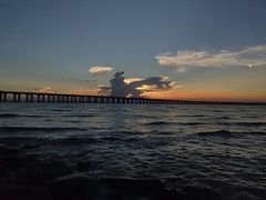 -宝安西湾红树林湿地公园