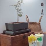 可以喝的奶酪🧀️健康的春天味道🌼