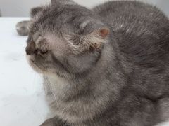 -喵园·猫主题咖啡厅·撸猫·猫咖(国贸店)