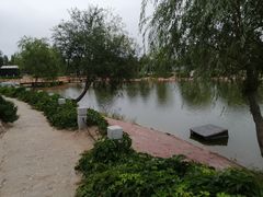 -通辽森林公园