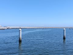 -清水湾旅游度假区