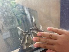 -三亚海棠湾万丽度假酒店