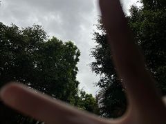-珠海长隆海洋王国