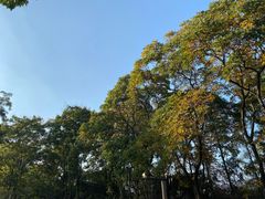 -南湖胖子砂锅(五福街店)