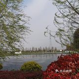 德清和睦村