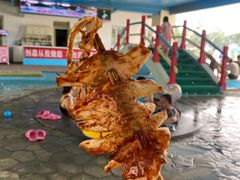 -南宫温泉水世界