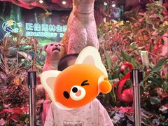 -正佳雨林生态植物园