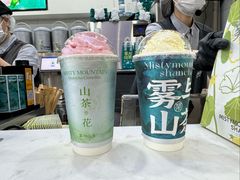-雾与山茶(大禹城店)