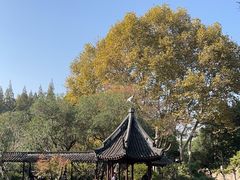 -上海醉白池公园