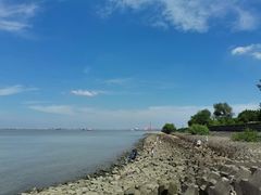 -上海滨江森林公园