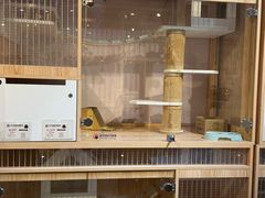 -爪爪喵星球·猫舍(卓悦中心店)