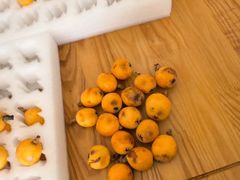 -塘栖枇杷特色园区