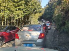 -广州市石门国家森林公园