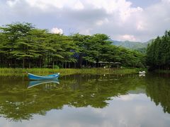 -森波拉奇妙世界