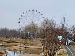 -西安浐灞国家湿地公园