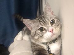 -SaladJohn沙拉匠(凯德1818店)