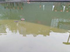-西安曲江寒窑遗址公园