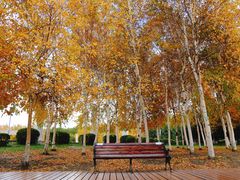 -长春公园(普阳街道)