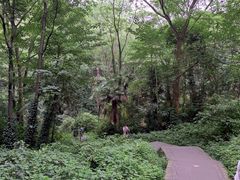 -凤栖山