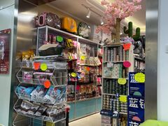 -北京观赏动物医院·24小时大型综合·猫专科·异宠专科