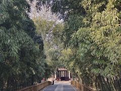 -扬州市茱萸湾风景区