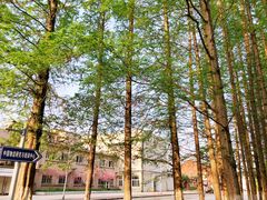 -同济大学(沪西校区)