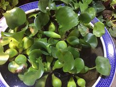 -万卉源鲜花店(百尚生活广场店)