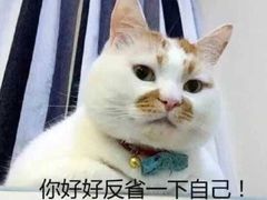 -麦当劳(莘松路芭比伦DT店)
