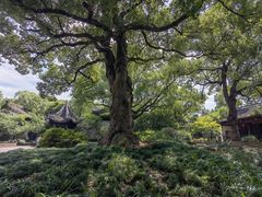 -惠山古镇·寄畅园