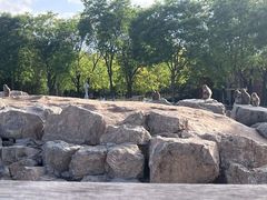 -太原动物园