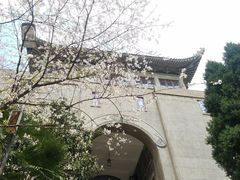 -武汉大学-樱园
