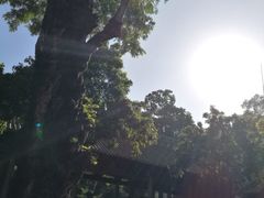 -杨箕村B区