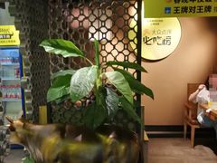 -炊烟小炒黄牛肉(中心印象城店)