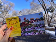 -北陵公园